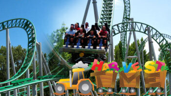 kids are taking rides - a trip to jungle land