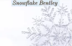 snowflake - snowflake-bentley