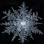 Snowflake Bentley