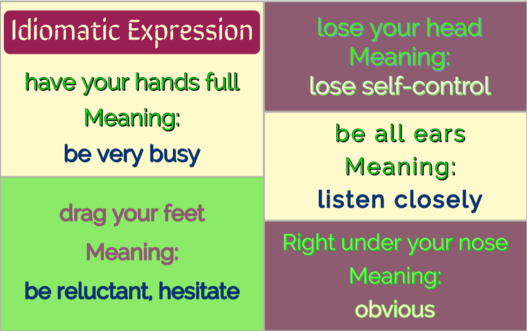 anfitriona visión Viajero Idiomatic Expression Exercise - Literal Meaning of Idioms -
