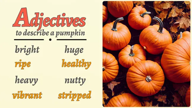 adjective- order of adjective