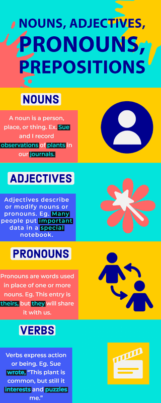 Nouns Exercises