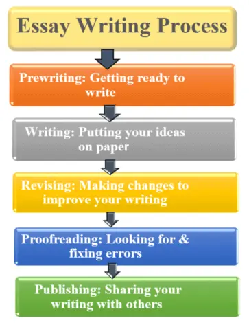Essay Writing Process