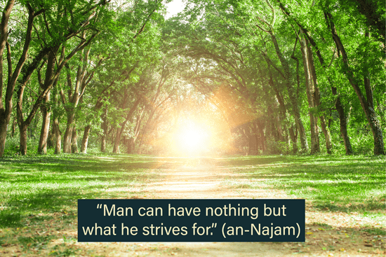 belief in divine decree