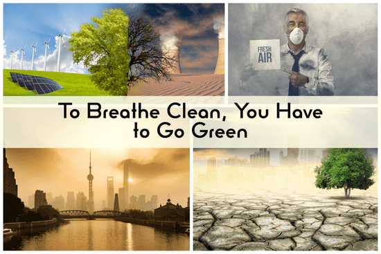 How to prevent environmental pollution