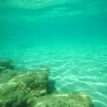 under-water - The Ocean Floor
