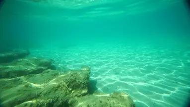 under-water - The Ocean Floor